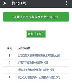熱烈祝賀湖北省47家企業成功獲得信息系統集成服務壹級、貳級資質認定